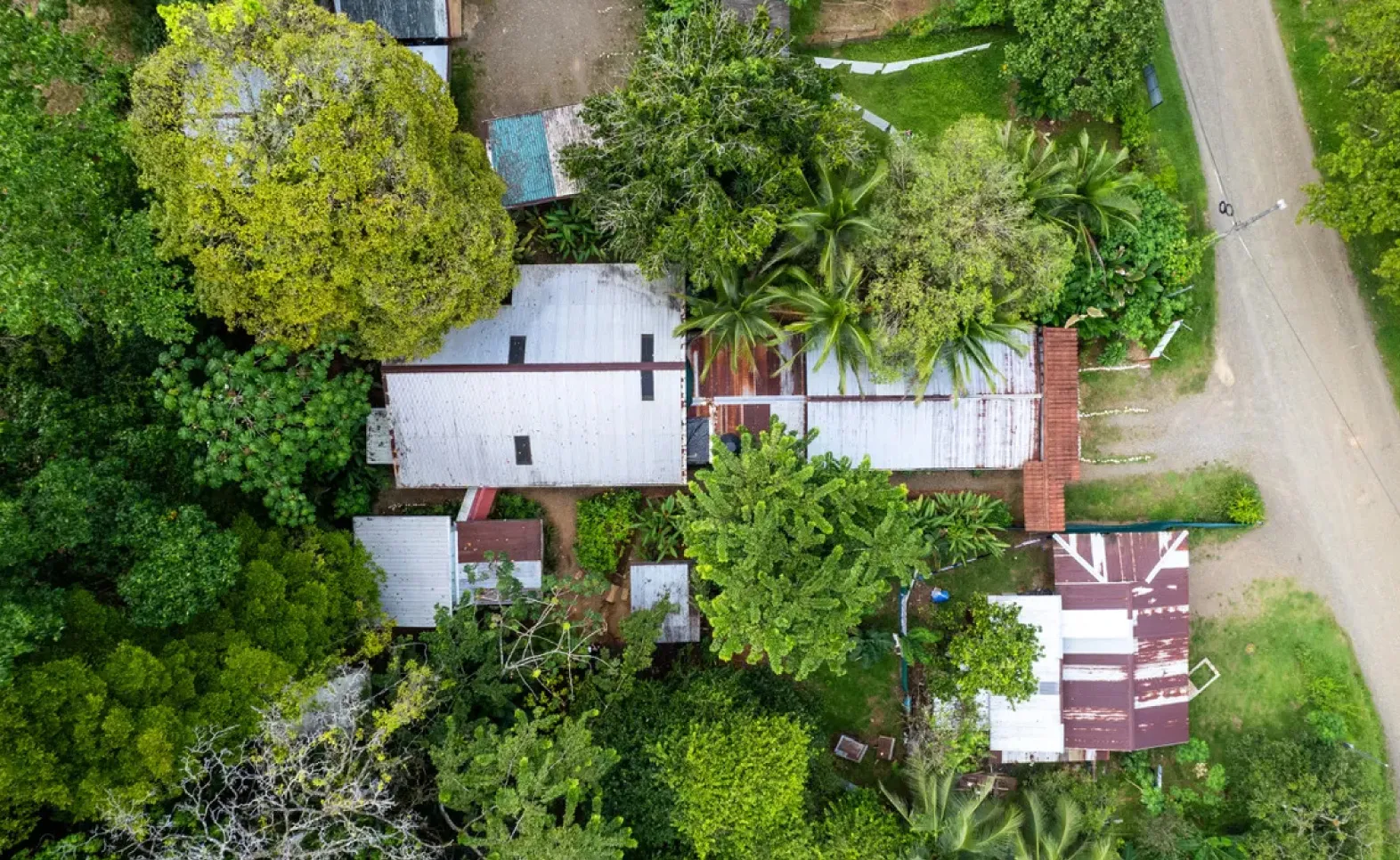 Osa Peninsula Costa Rica