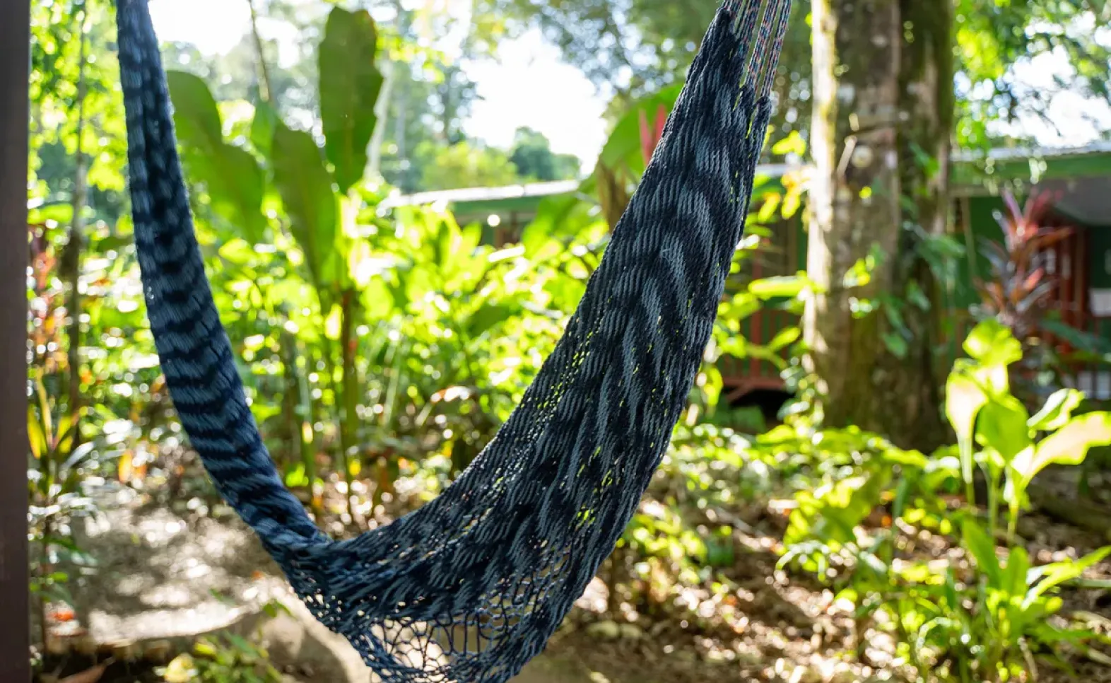 Osa Peninsula Costa Rica