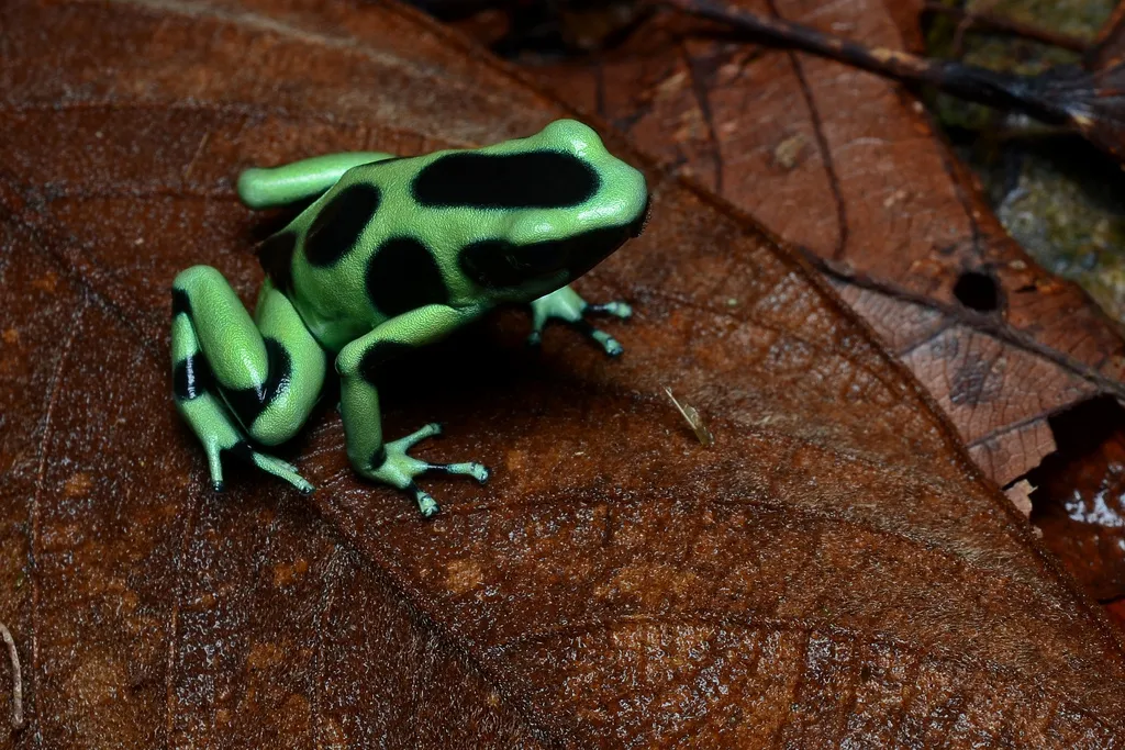 Experience breathtaking aerial views of Costa Rica's stunning beaches with CRSTOURS, your trusted travel partner.