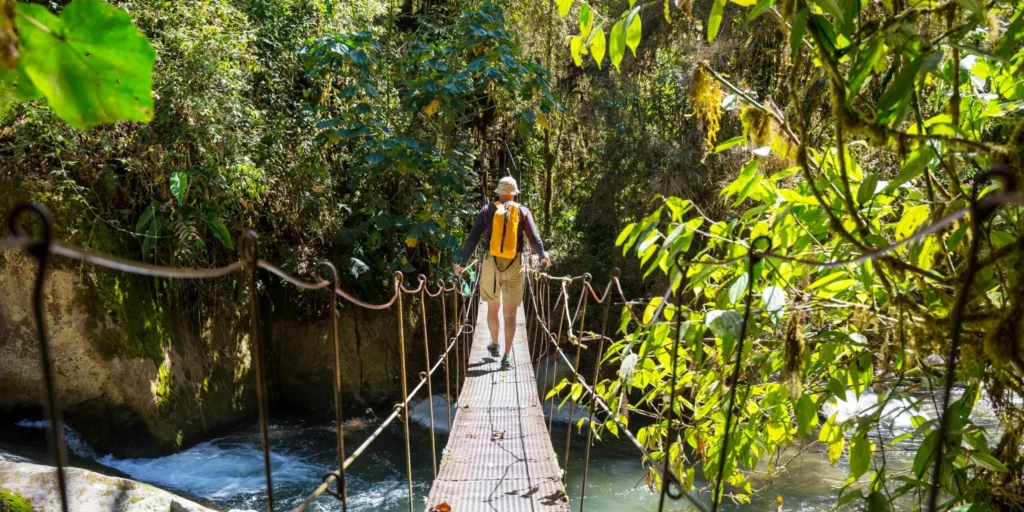 Forests, beaches and volcanoes: All this can be enjoyed when visiting Costa Rica.