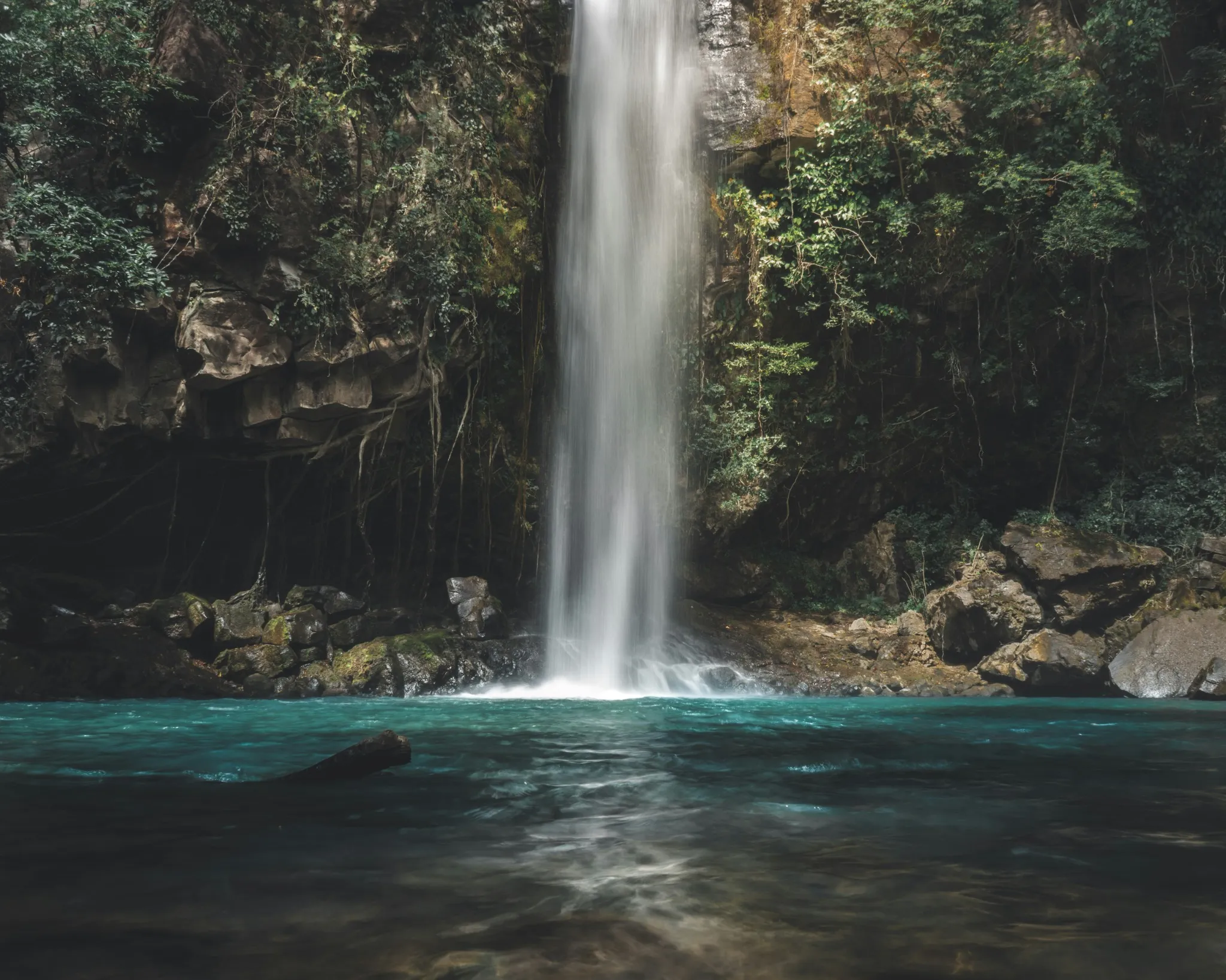 Serene waterfall cascading into a turquoise pool, surrounded by lush greenery.